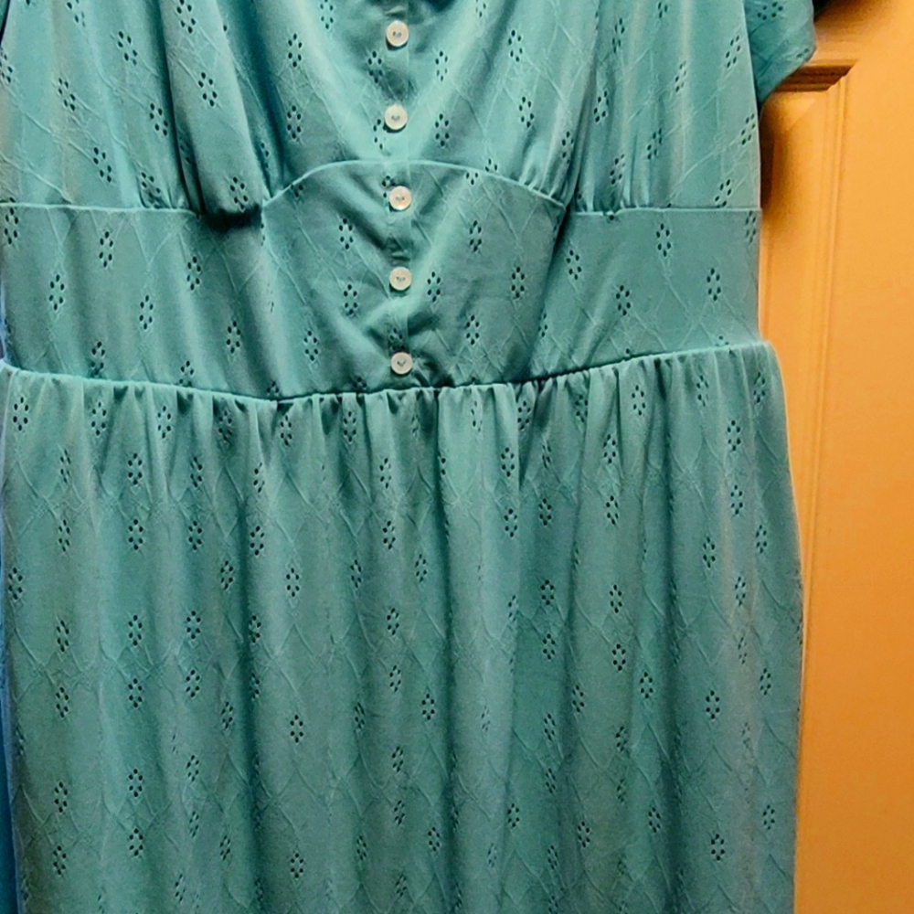 Lane Bryant maxi dress with flutter sleeves